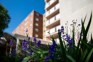 Kennedy Towers RHA